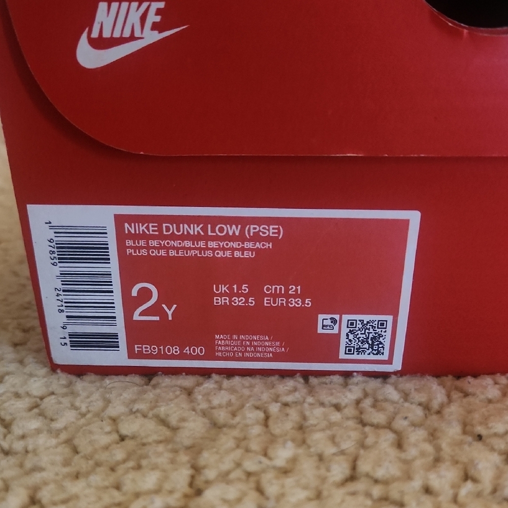 Nike Kids Blue and White Dunk Low Style Sneakers - Picture 5 of 5